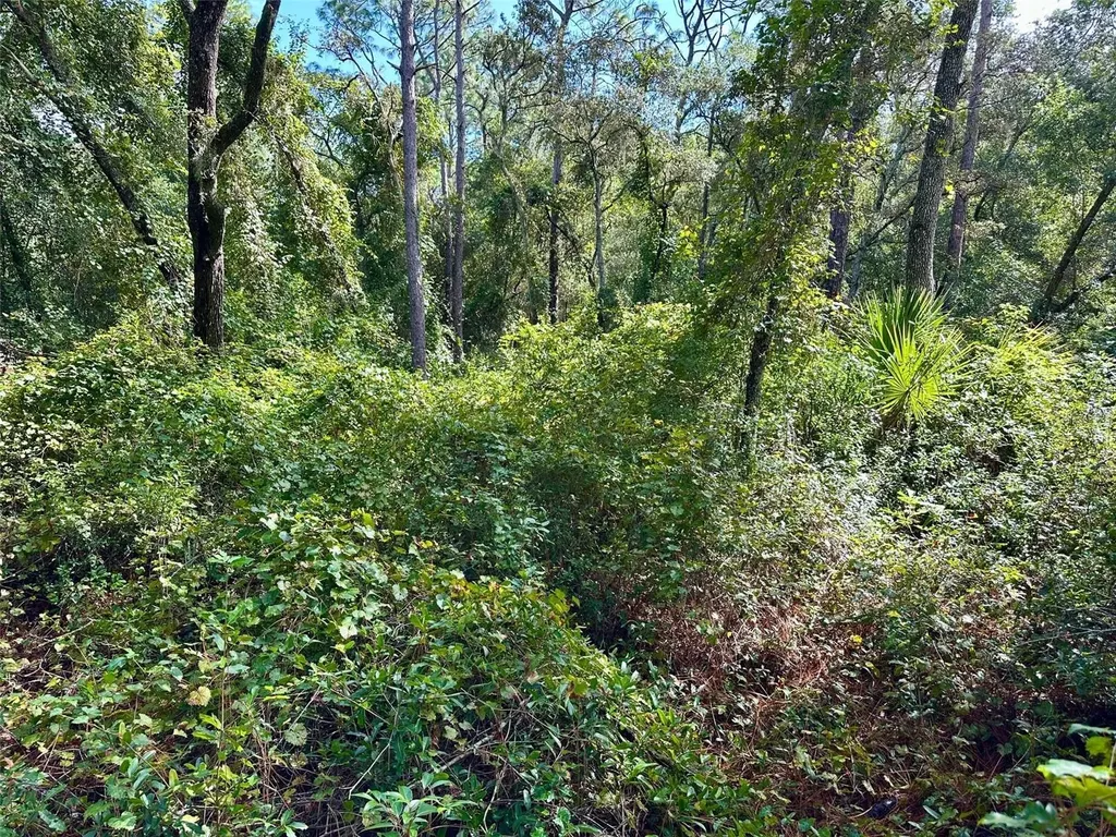 N Thompson Road Apopka FL 32712
