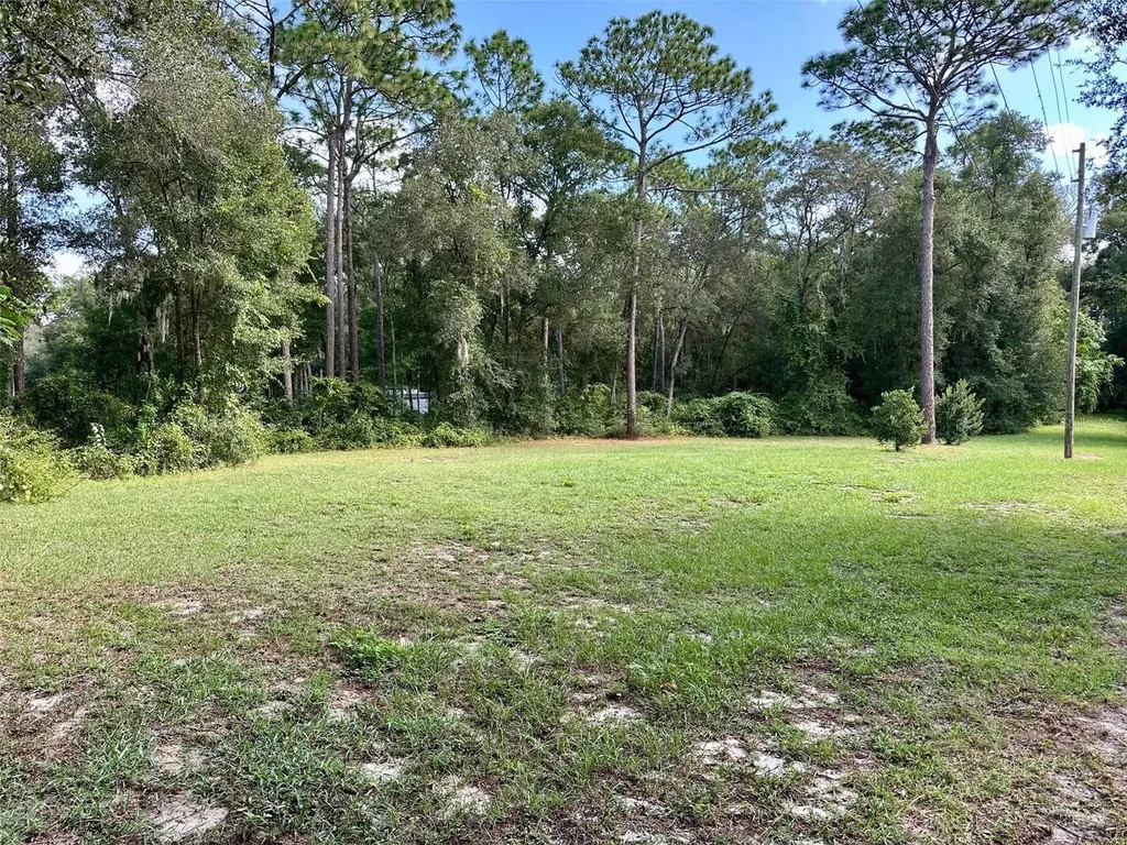 N Thompson Road Apopka FL 32712