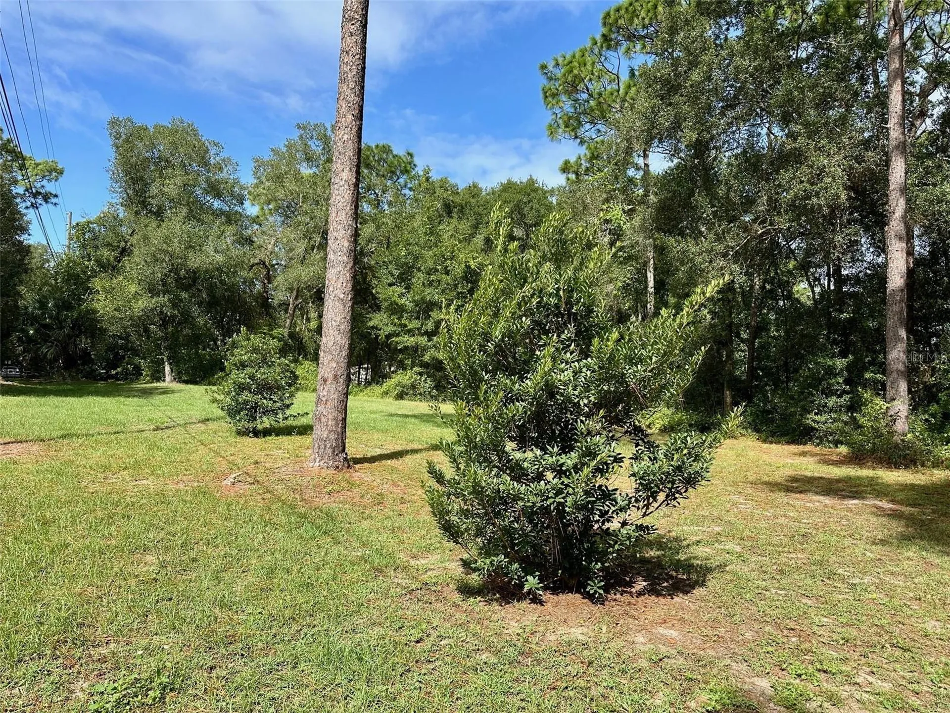 N Thompson Road Apopka FL 32712