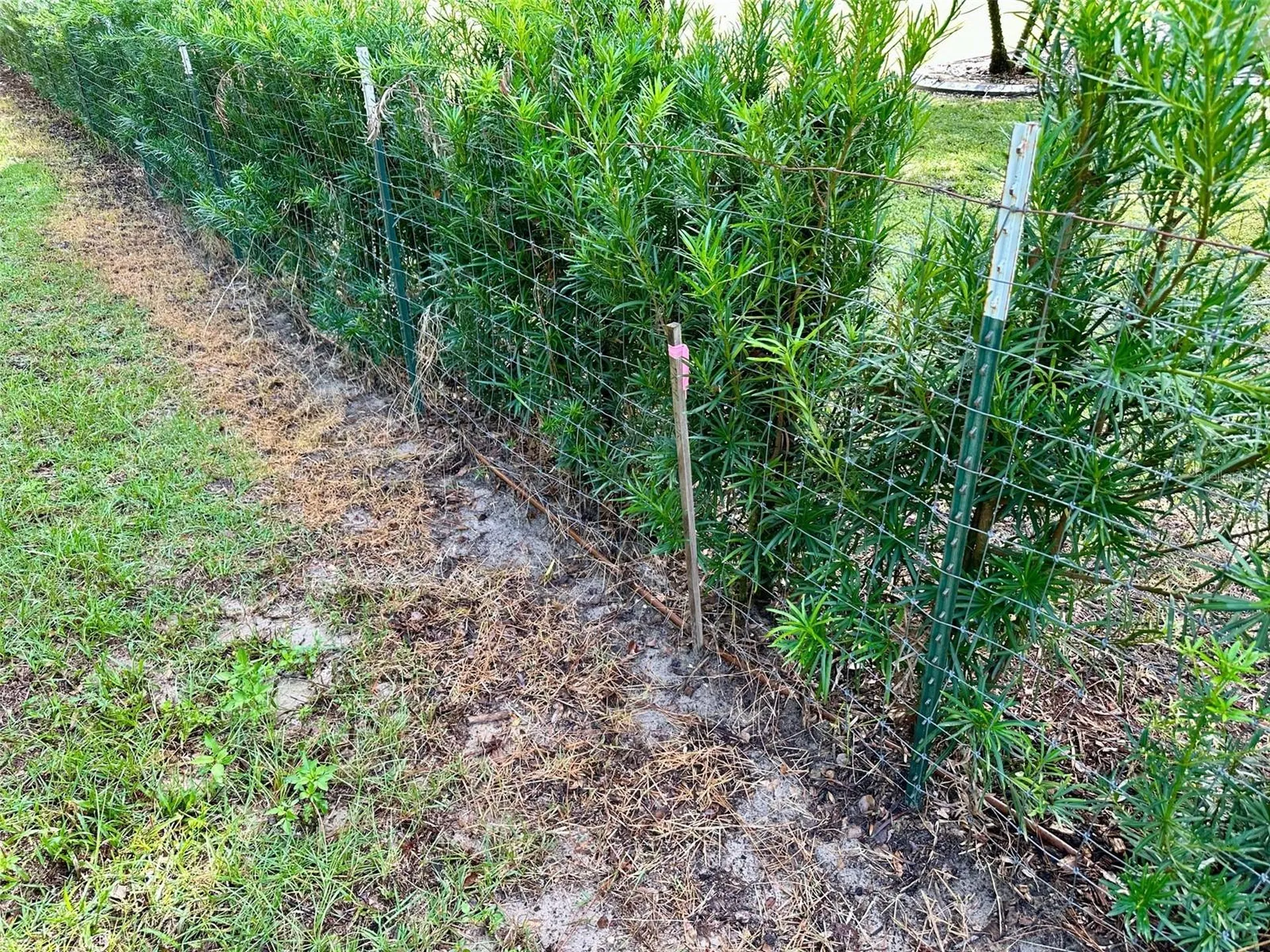 N Thompson Road Apopka FL 32712