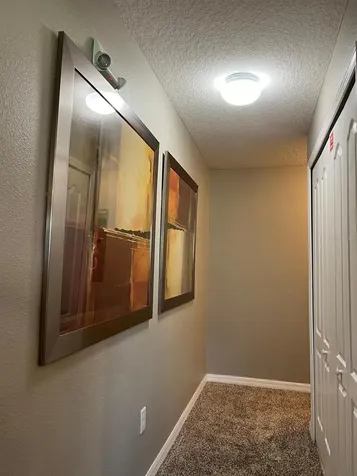 2937 Banana Palm Drive Kissimmee FL 34747