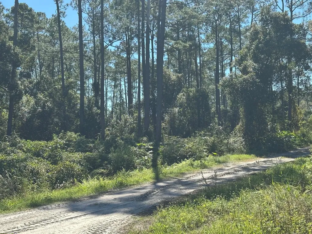 11TH Avenue Deland FL 32724