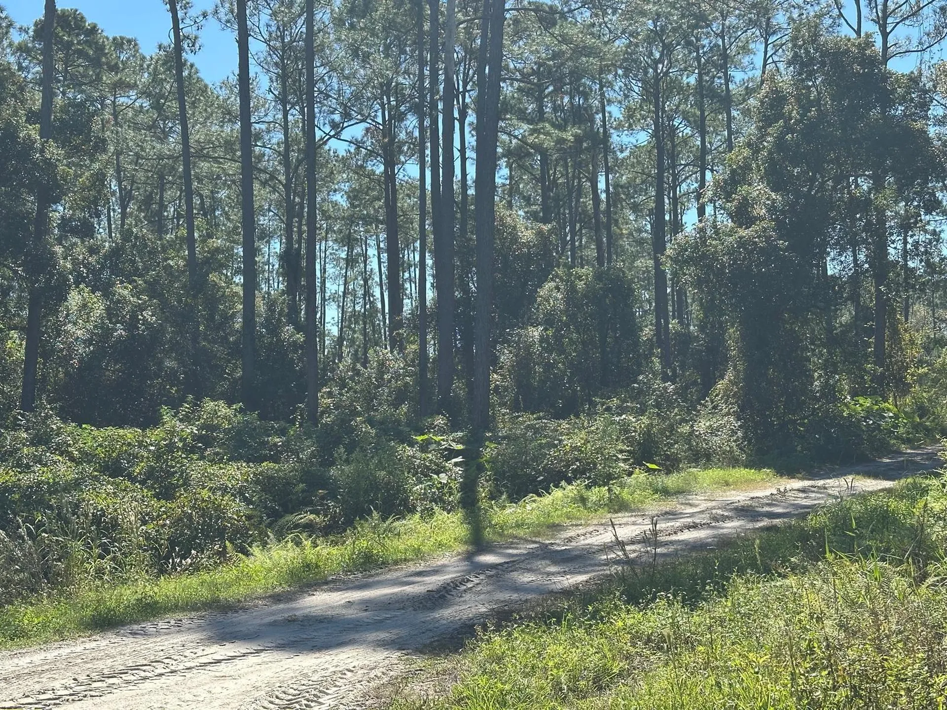 11TH Avenue Deland FL 32724