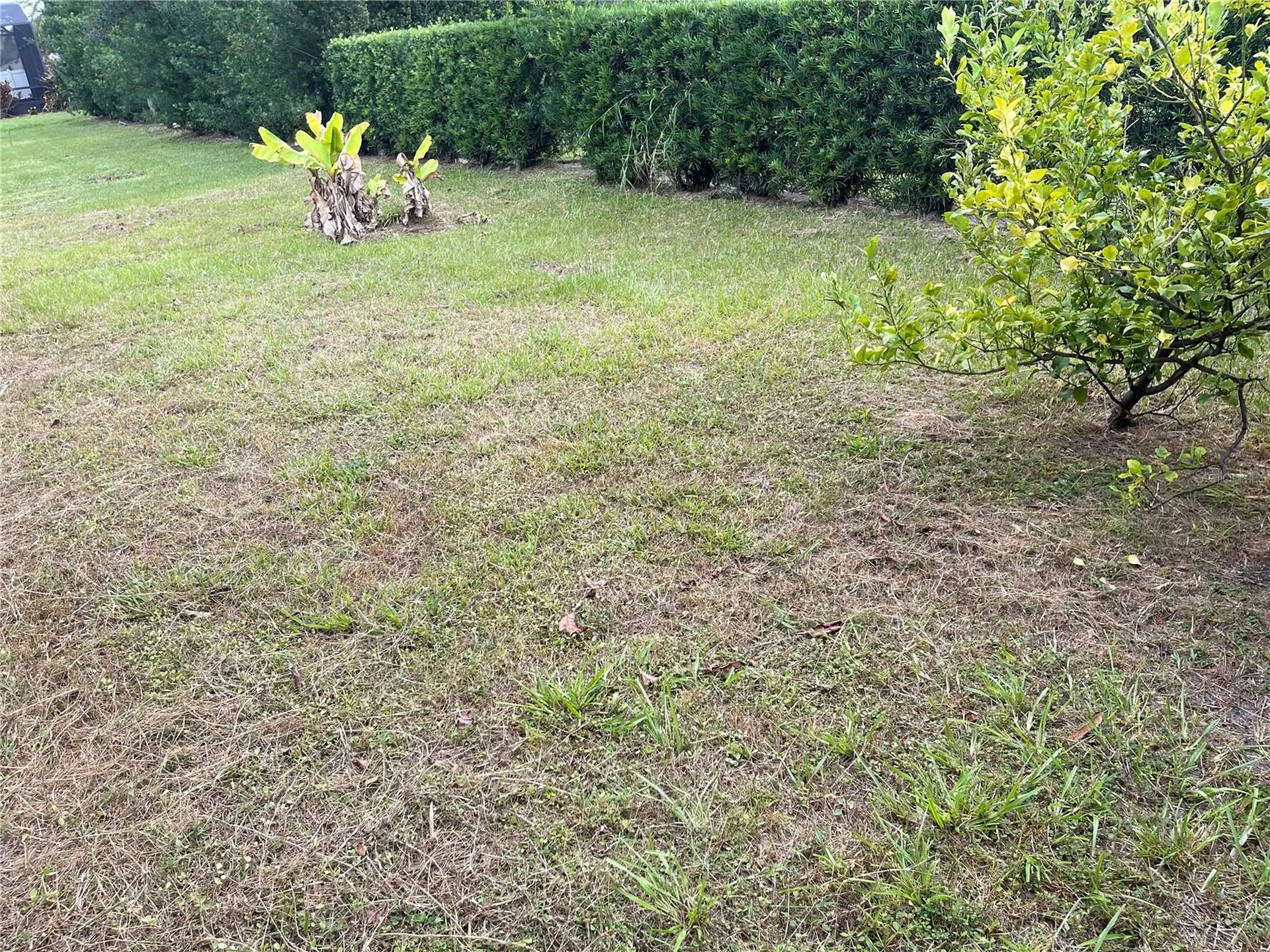 1312 Ralph Poe Drive Apopka FL 32703