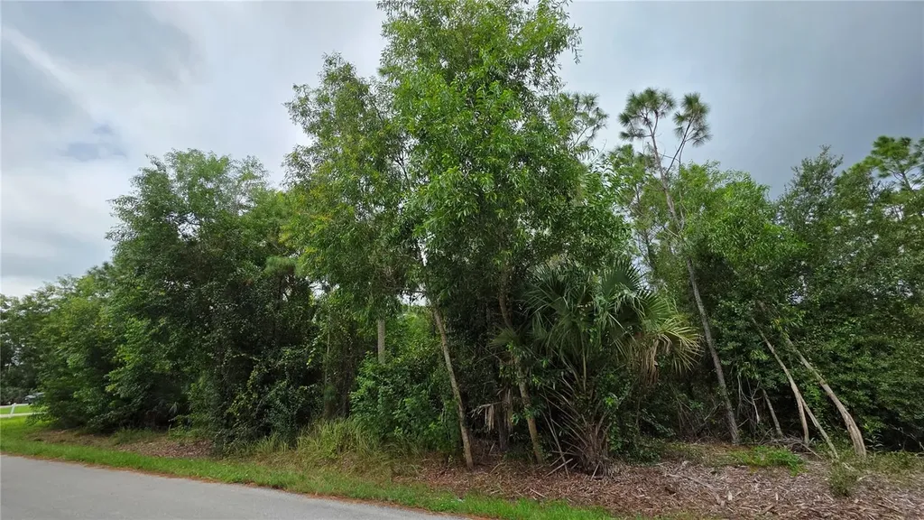 12339 Cognac Drive Punta Gorda FL 33955