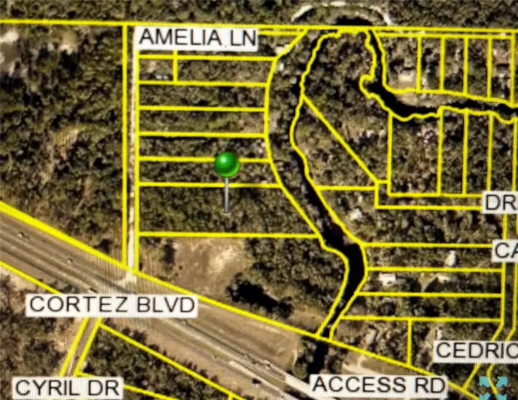 Amelia Lane Dade City FL 33523