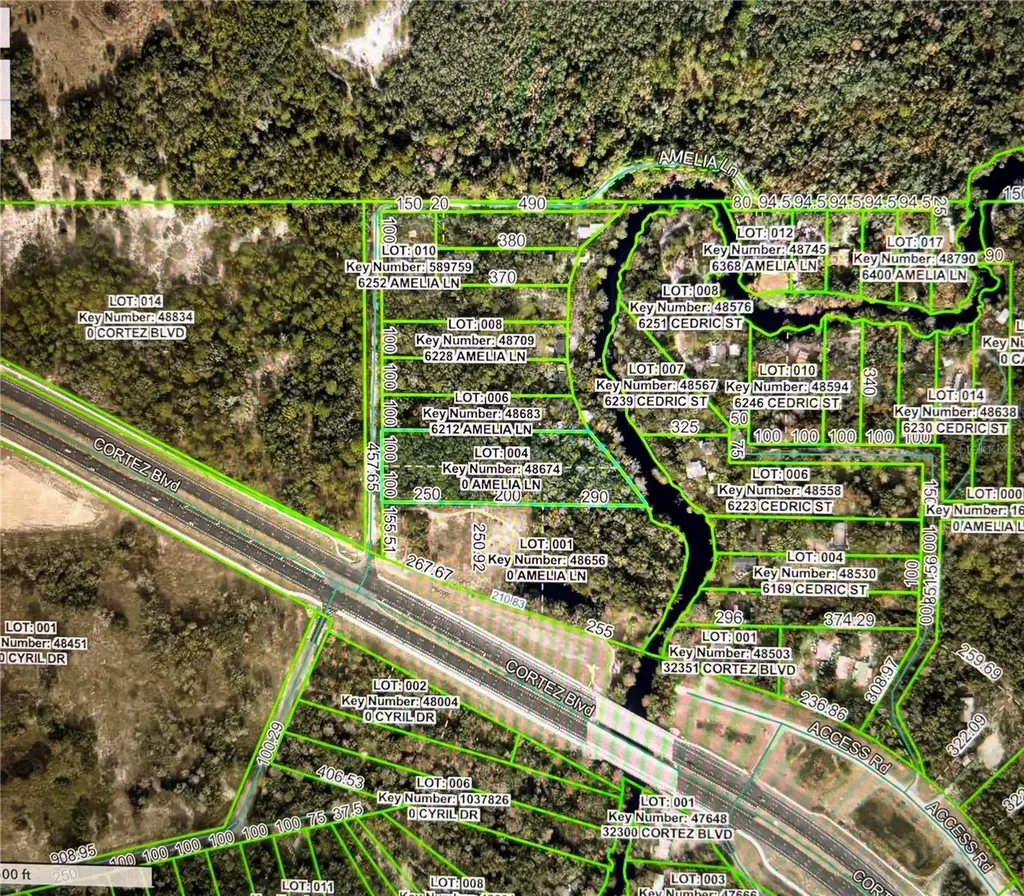 Amelia Lane Dade City FL 33523