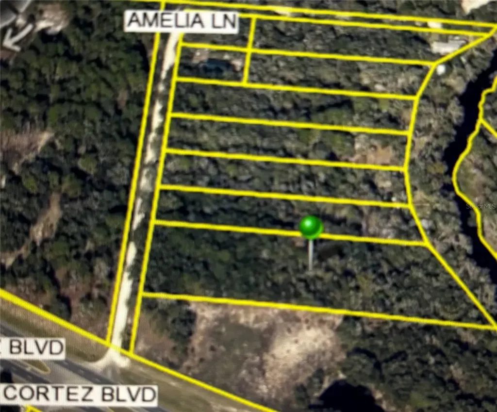 Amelia Lane Dade City FL 33523