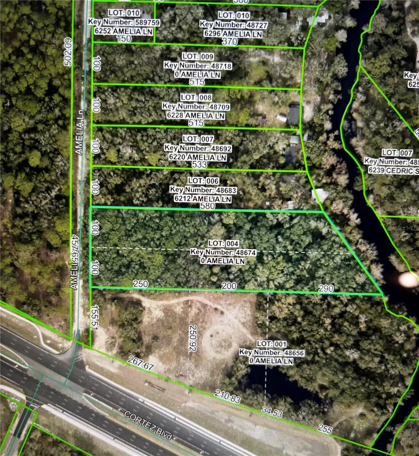 Amelia Lane Dade City FL 33523