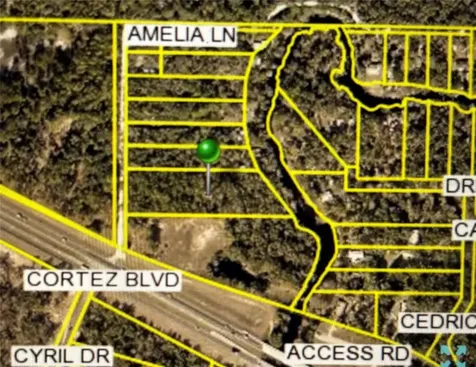 Amelia Lane Dade City FL 33523
