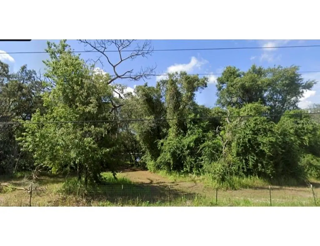 15542 Peace Boulevard Spring Hill FL 34610