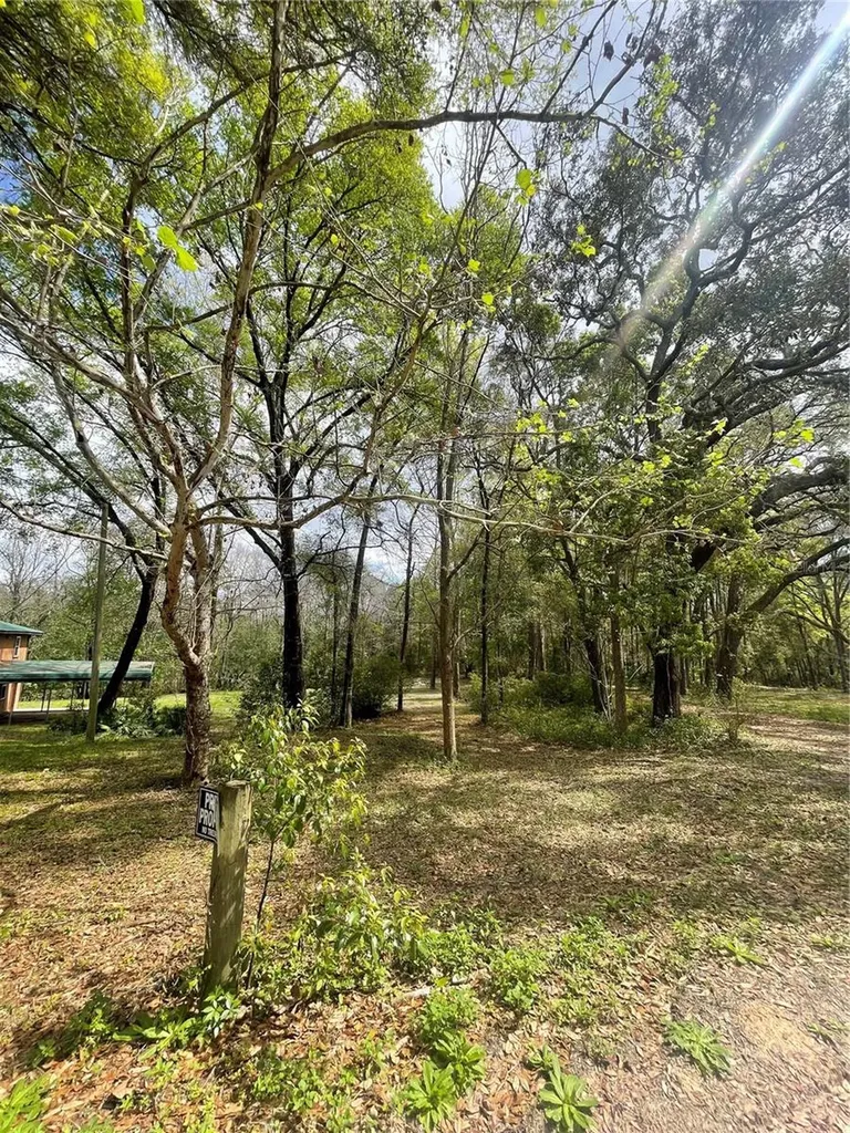 121 Sweet Gum Drive Melrose FL 32666