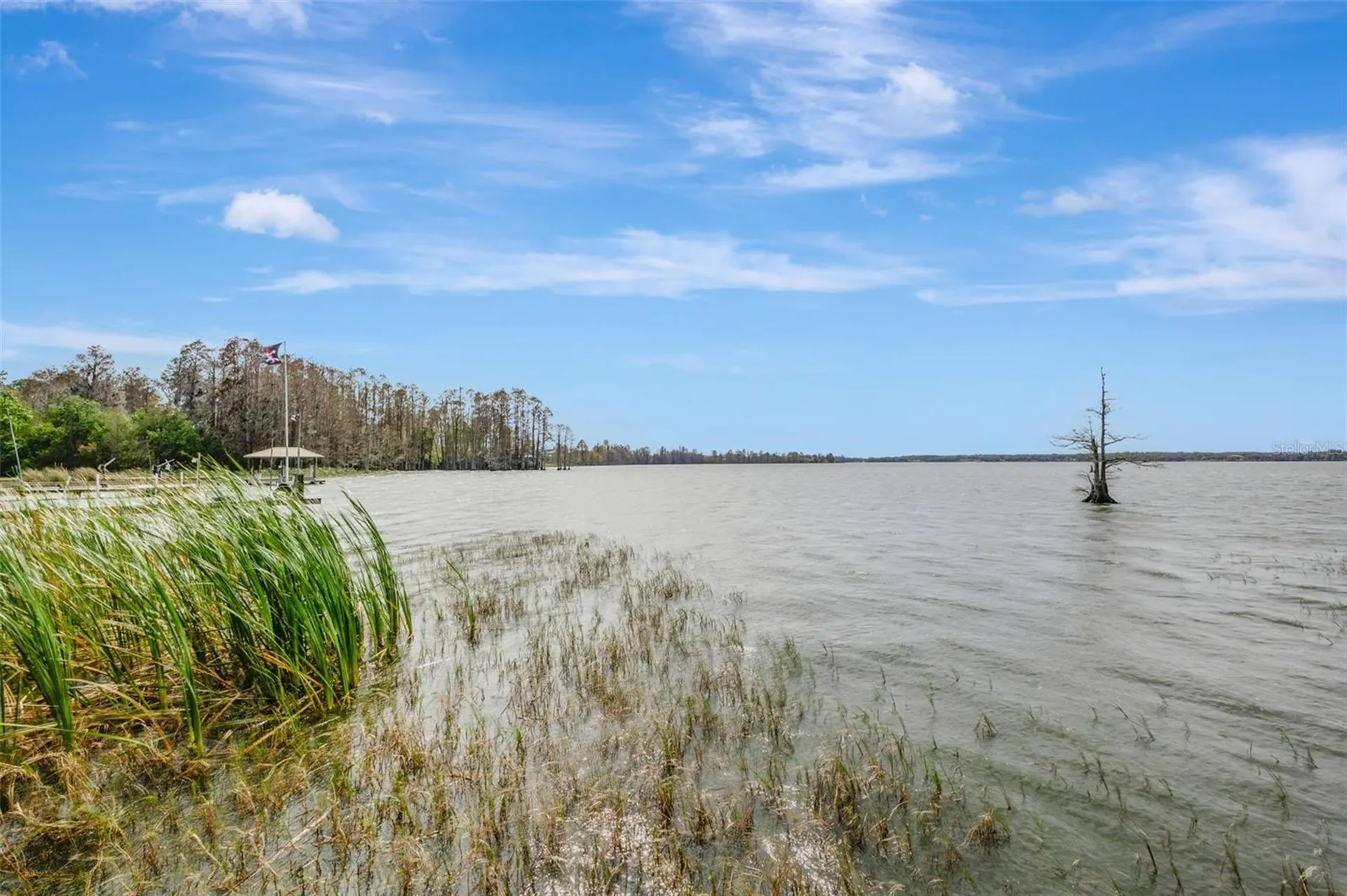 12428 Kelso Road Thonotosassa FL 33592