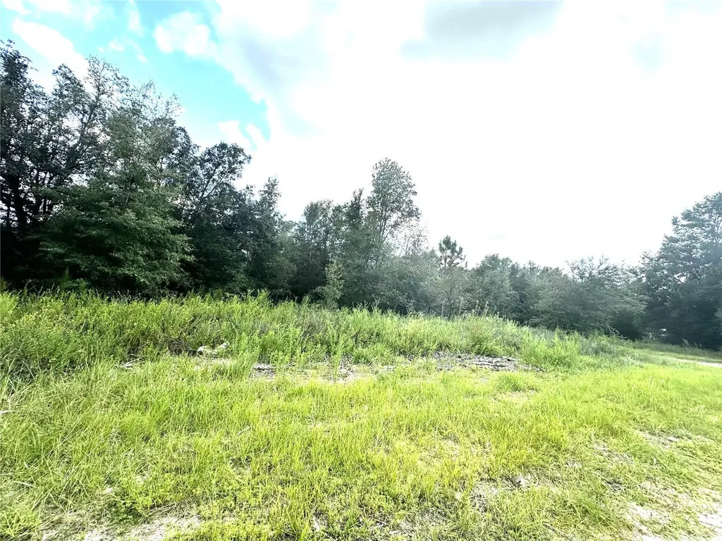 0 SW 134th Court Dunnellon FL 34432