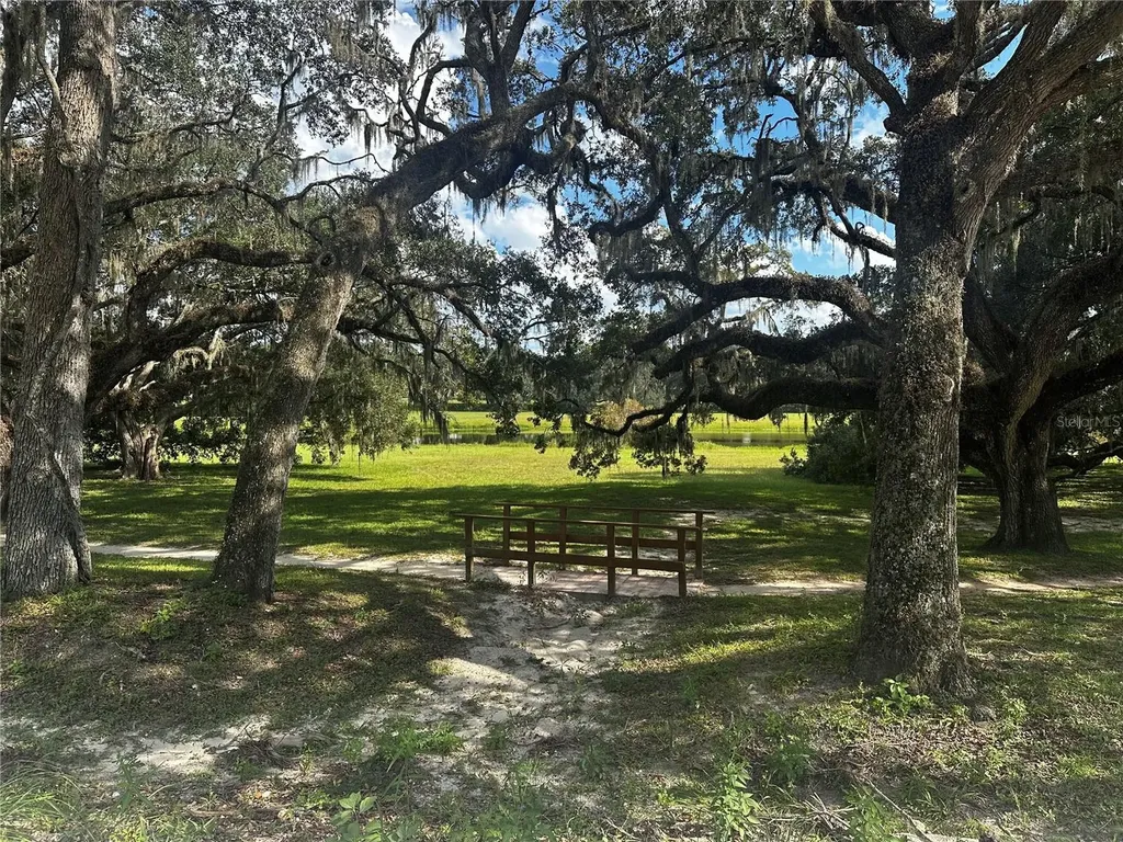 0 SW 134th Court Dunnellon FL 34432
