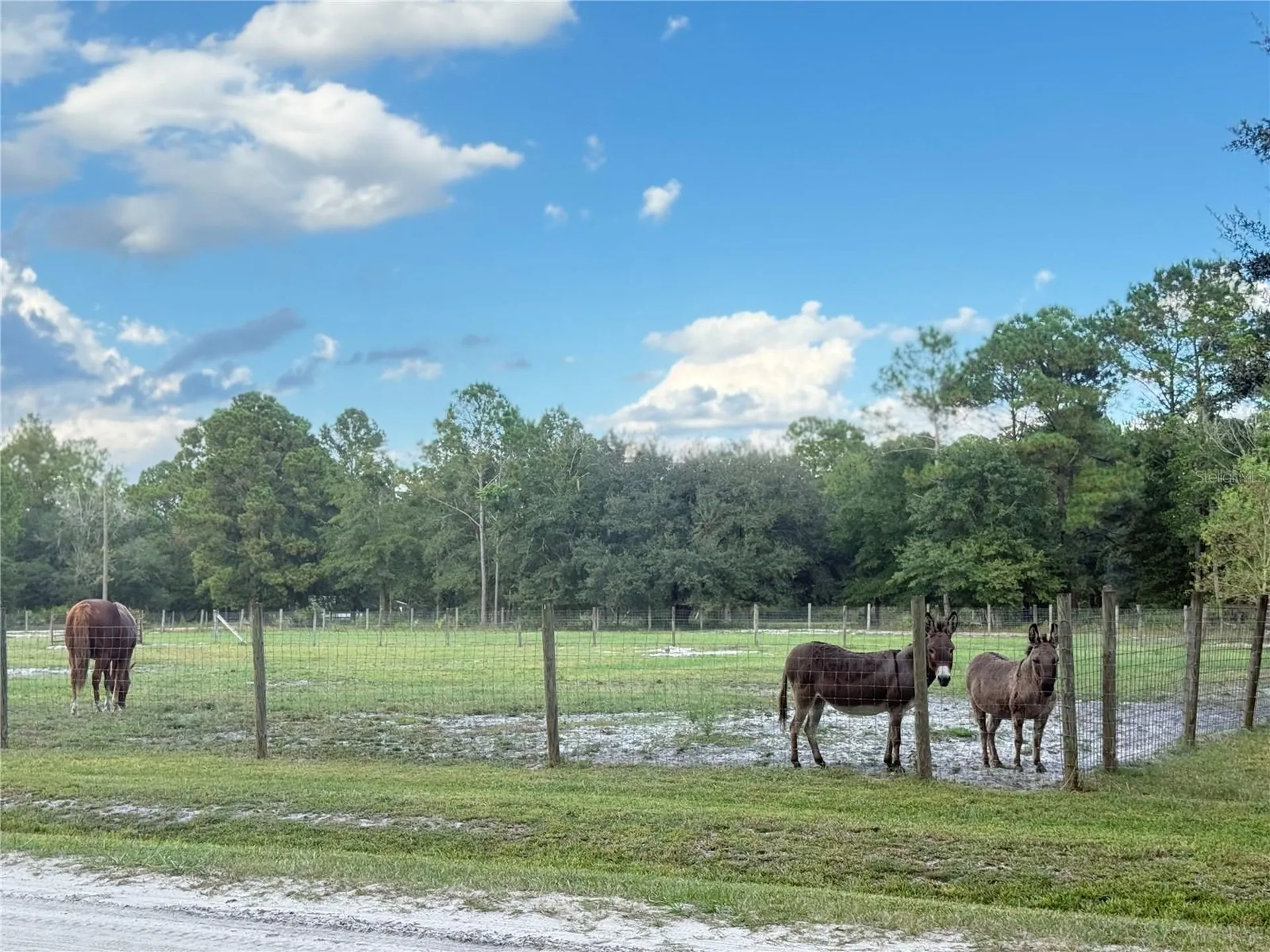 4334 Lori Loop Road Keystone Heights FL 32656