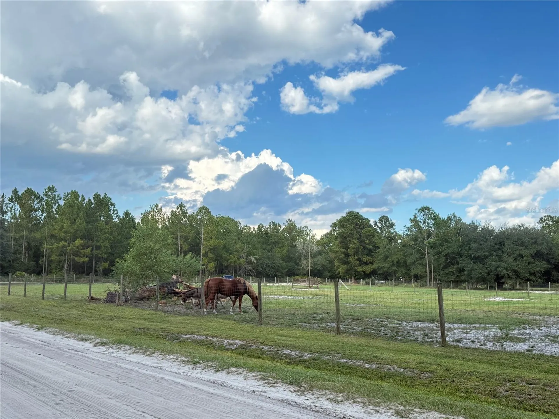 4334 Lori Loop Road Keystone Heights FL 32656