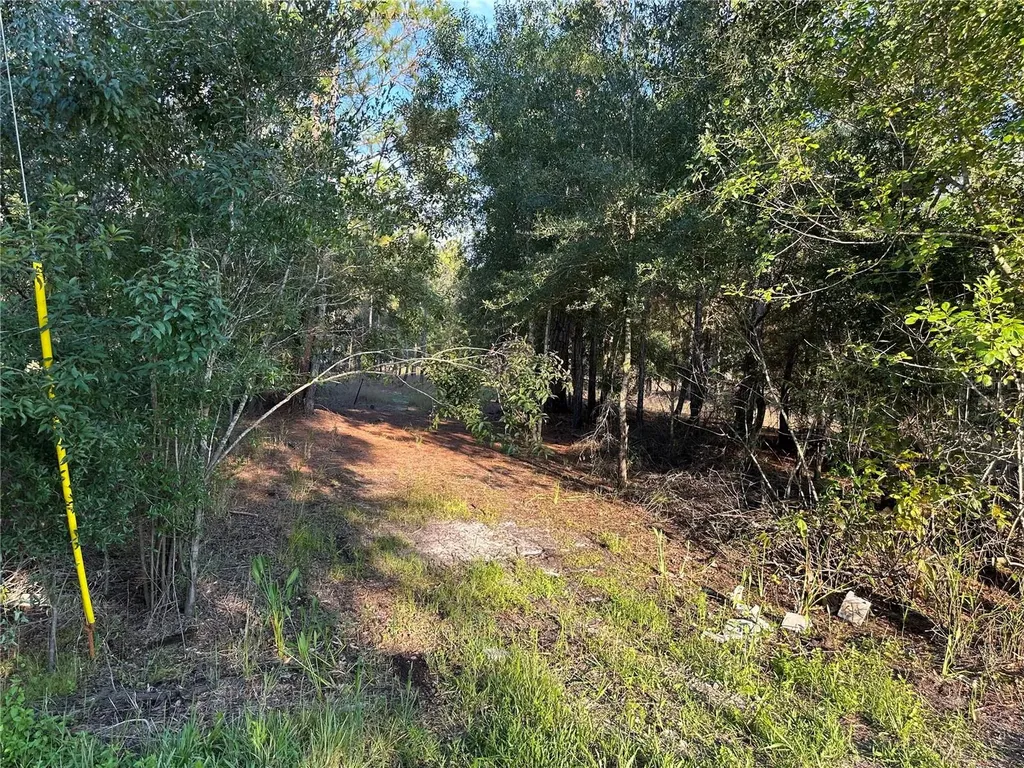 8338 Hardstone Drive Webster FL 33597