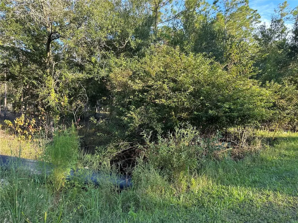 8338 Hardstone Drive Webster FL 33597