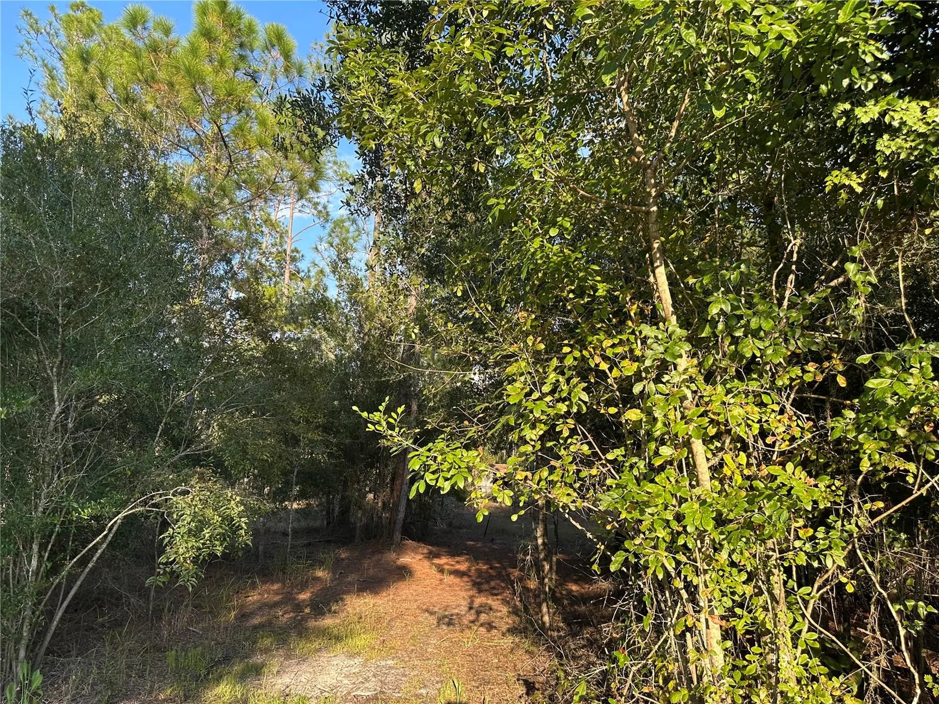 8338 Hardstone Drive Webster FL 33597