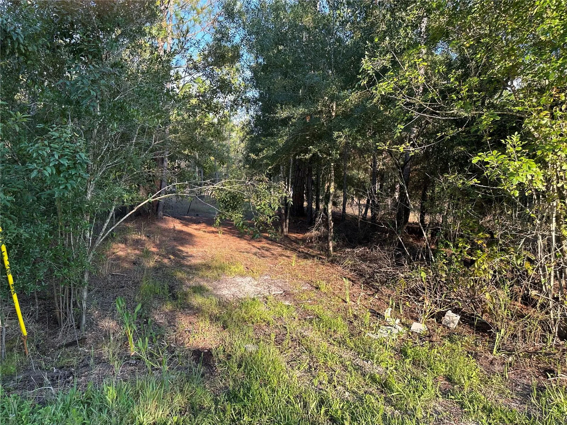 8338 Hardstone Drive Webster FL 33597