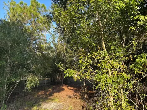 8338 Hardstone Drive Webster FL 33597