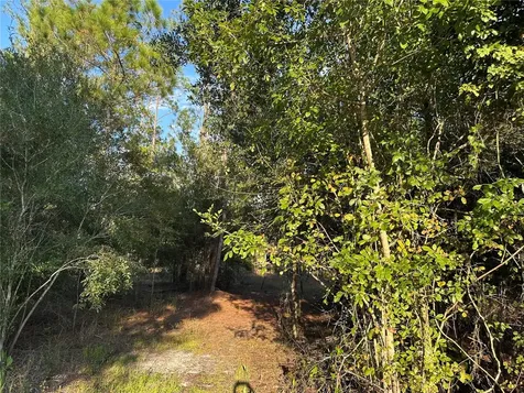 8338 Hardstone Drive Webster FL 33597