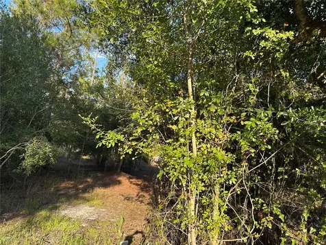 8338 Hardstone Drive Webster FL 33597