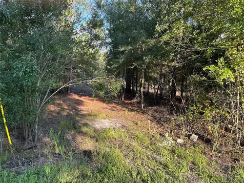 8338 Hardstone Drive Webster FL 33597