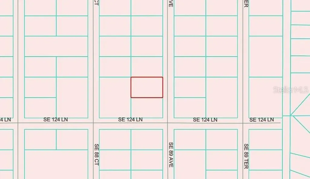 SE 89 Avenue Belleview FL 34420