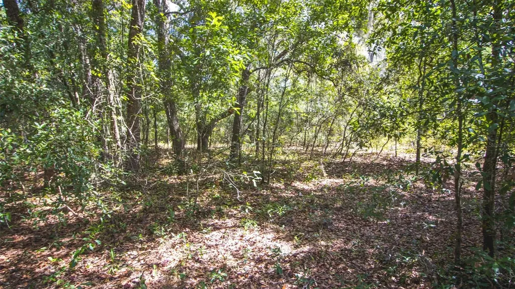 23172 SE 120th Place Hawthorne FL 32640