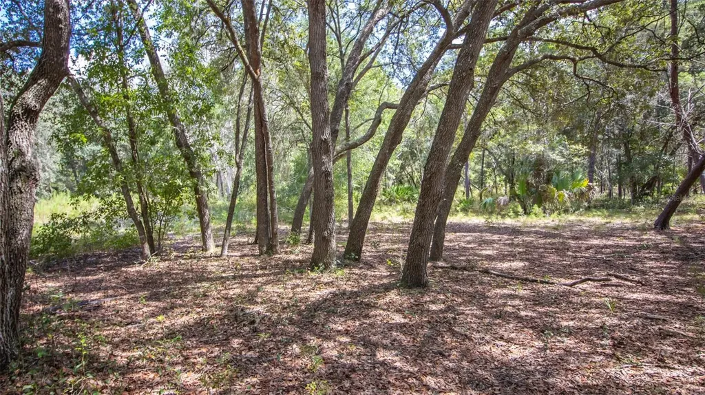 23172 SE 120th Place Hawthorne FL 32640