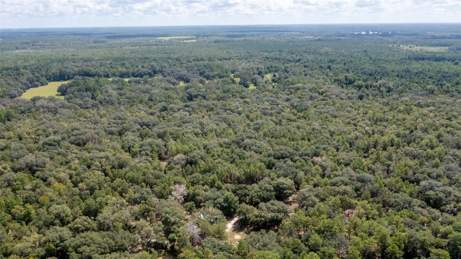 23172 SE 120th Place Hawthorne FL 32640