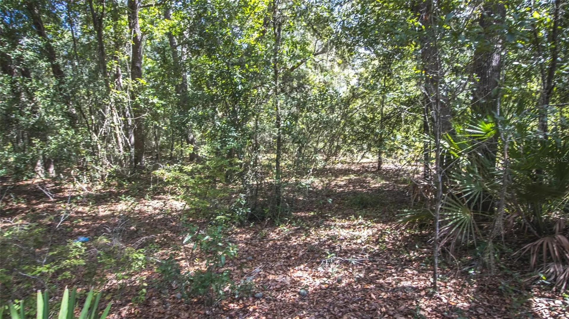 23172 SE 120th Place Hawthorne FL 32640