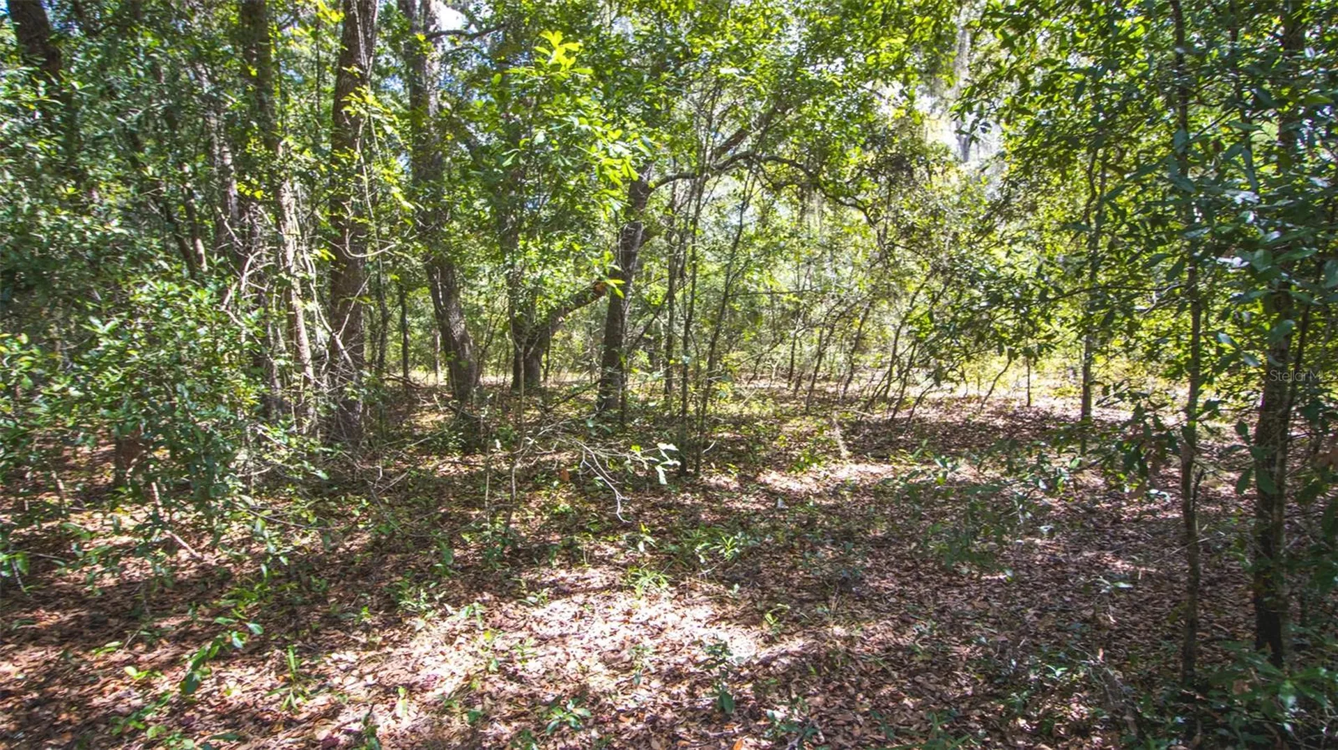 23172 SE 120th Place Hawthorne FL 32640