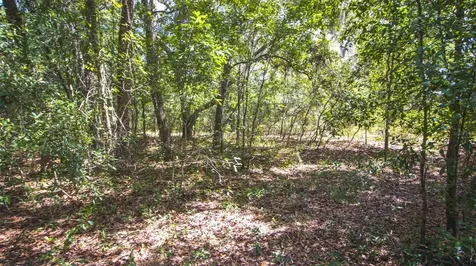 23172 SE 120th Place Hawthorne FL 32640