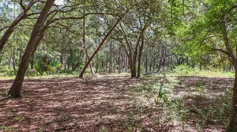 23172 SE 120th Place Hawthorne FL 32640