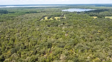 23172 SE 120th Place Hawthorne FL 32640