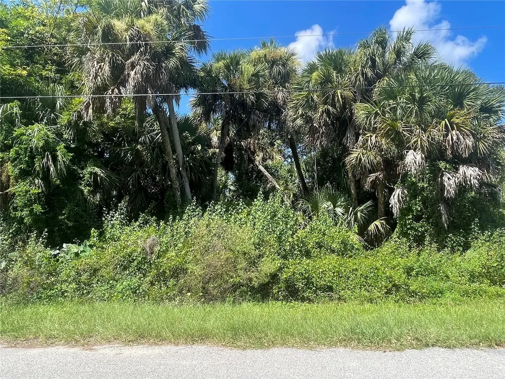 Snyder (lot 6 Block 1019) Street North Port FL 34288