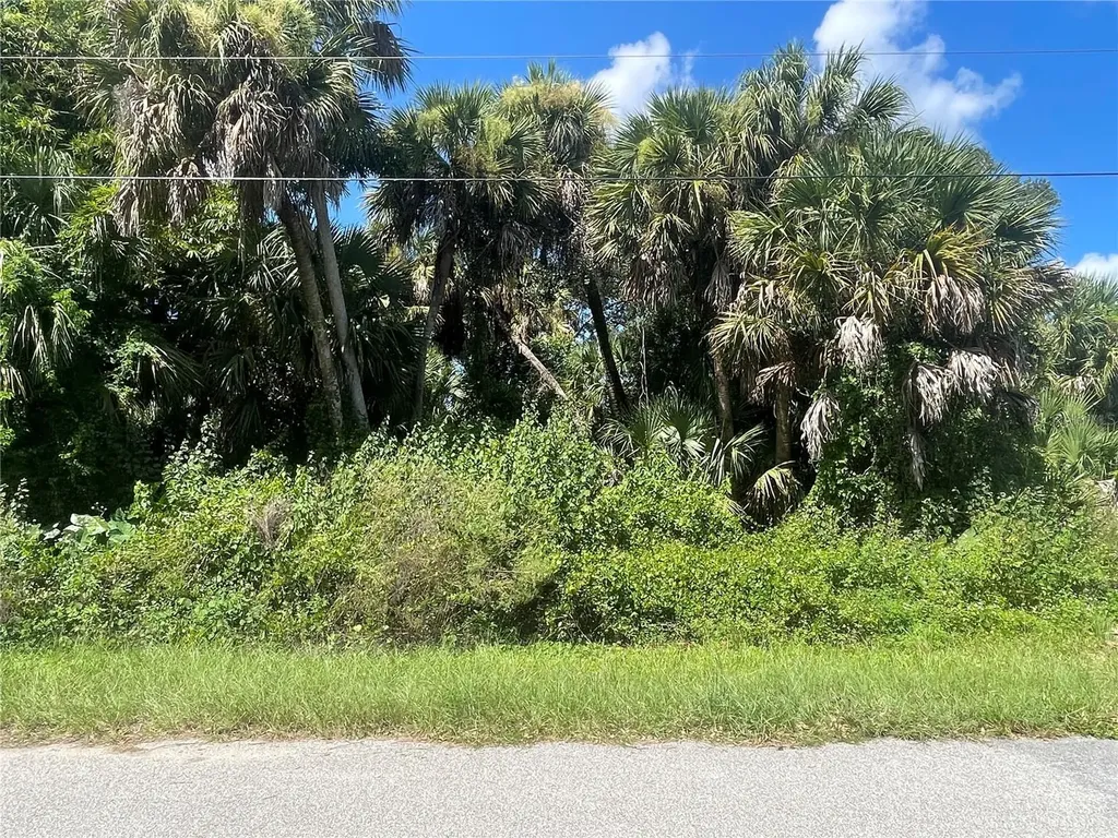 Snyder (lot 6 Block 1019) Street North Port FL 34288