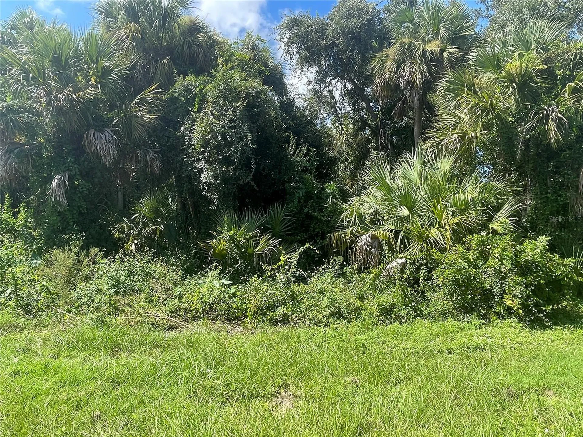 Snyder (lot 6 Block 1019) Street North Port FL 34288