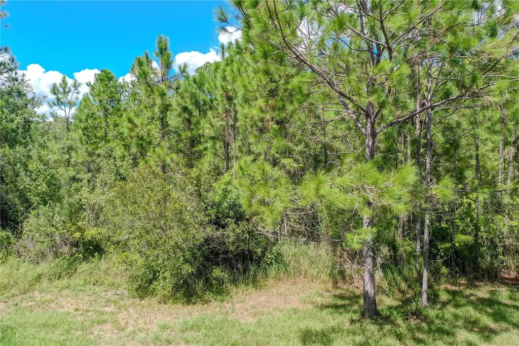 747 Miranda Trail Lakeland FL 33809