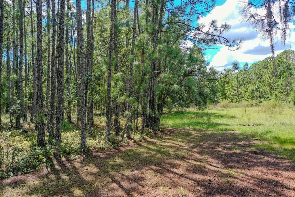 747 Miranda Trail Lakeland FL 33809