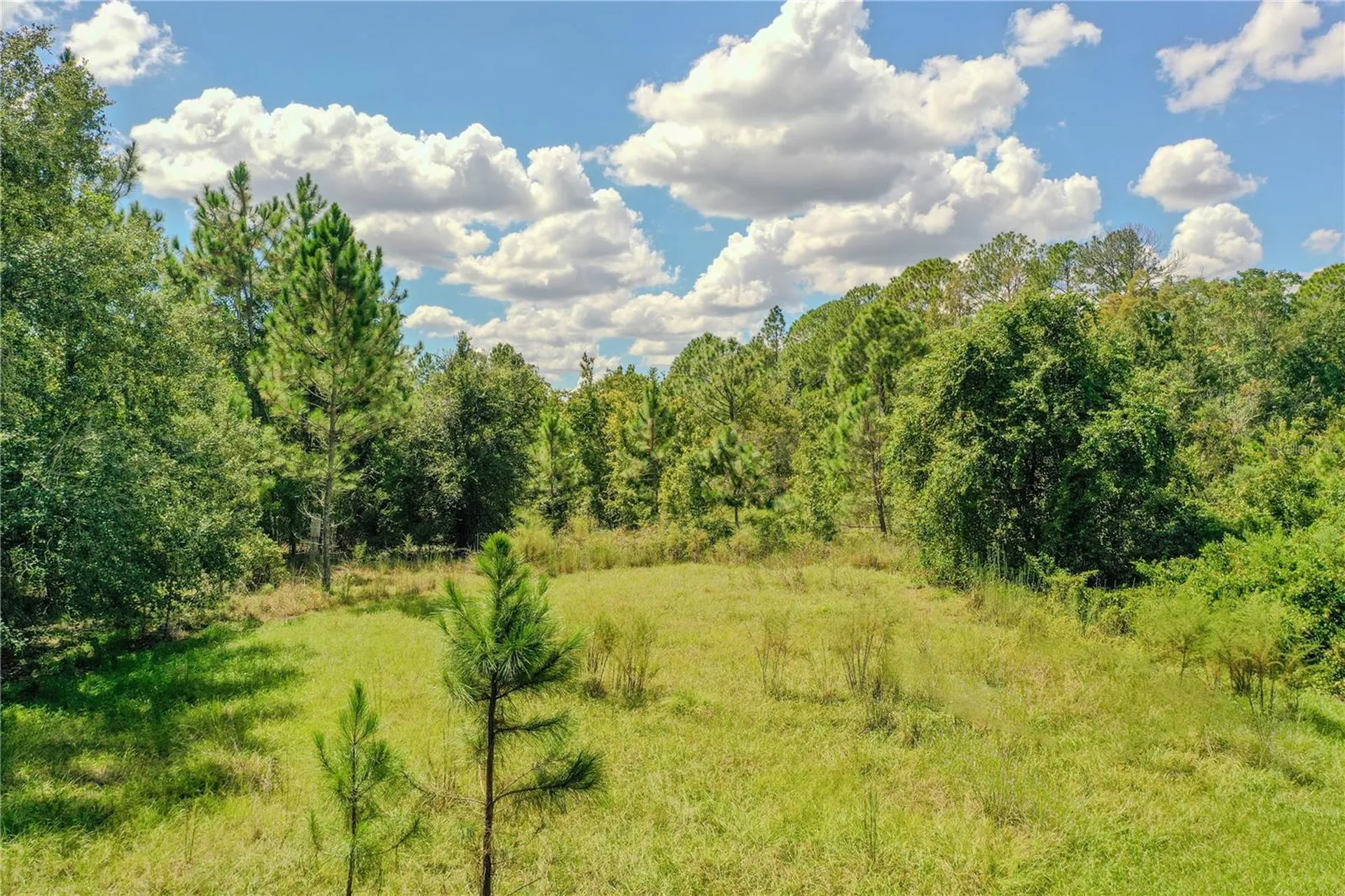 747 Miranda Trail Lakeland FL 33809