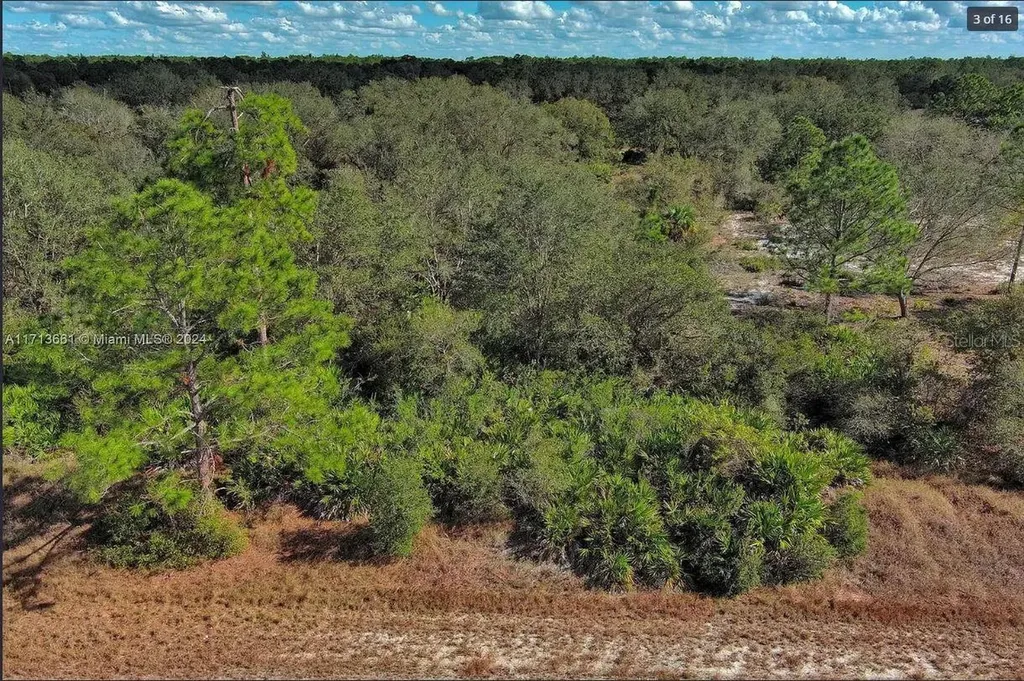 1514 Poinsettia Avenue Lehigh Acres FL 33972