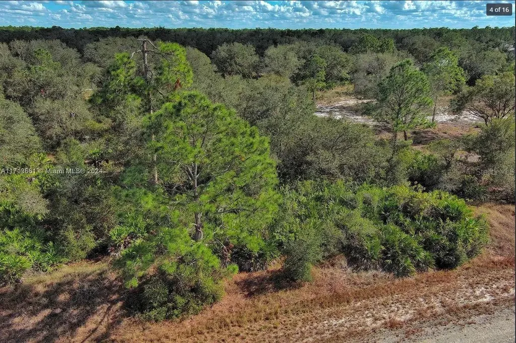 1514 Poinsettia Avenue Lehigh Acres FL 33972