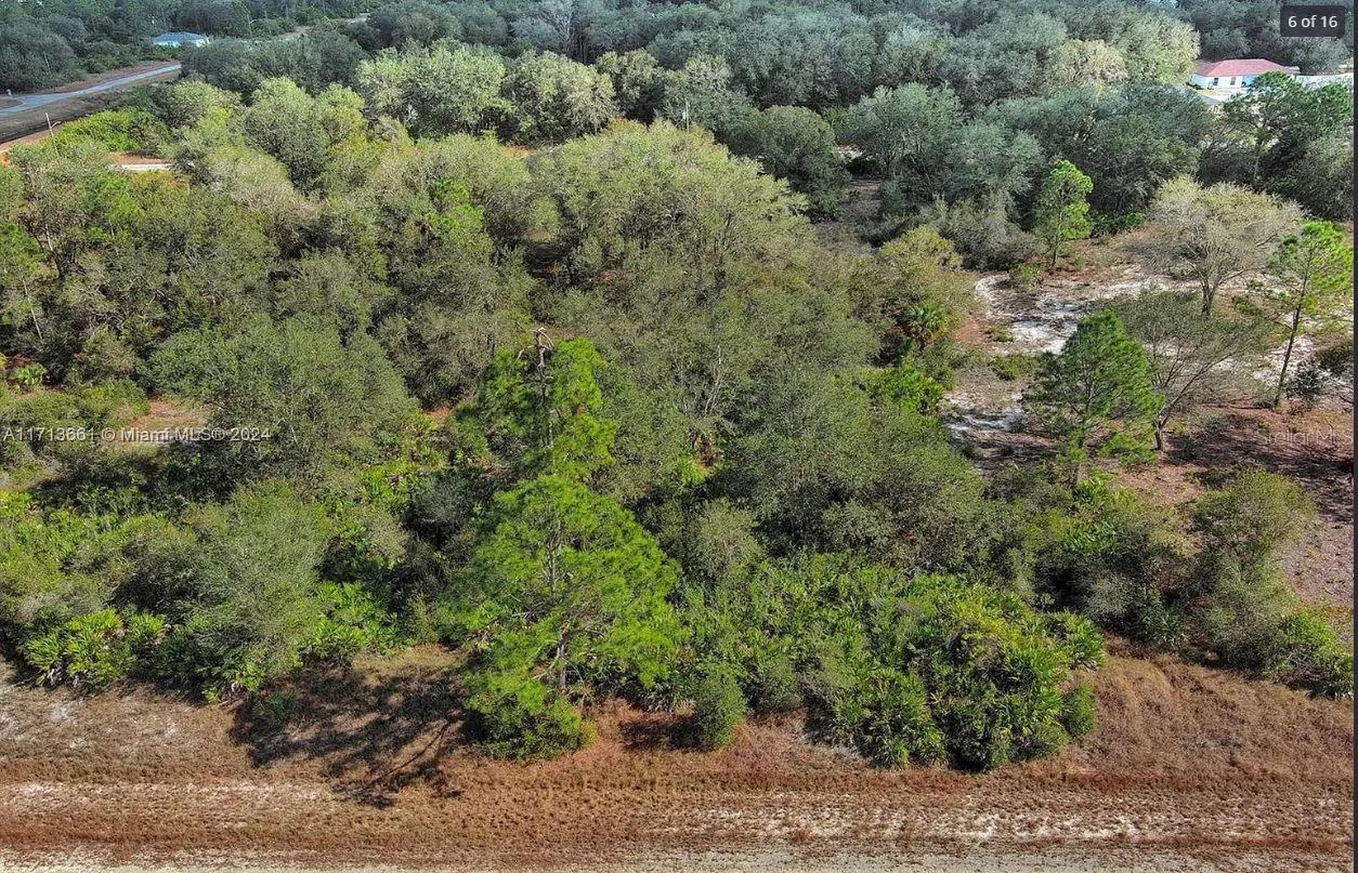 1514 Poinsettia Avenue Lehigh Acres FL 33972