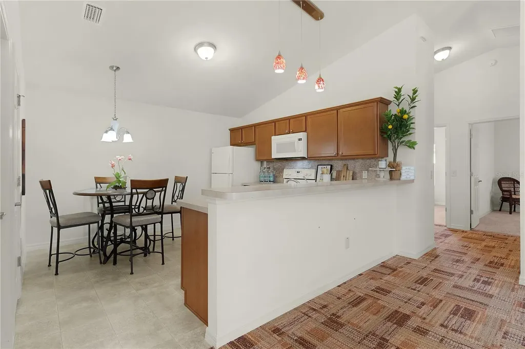 1387 Zest Avenue The Villages FL 32163