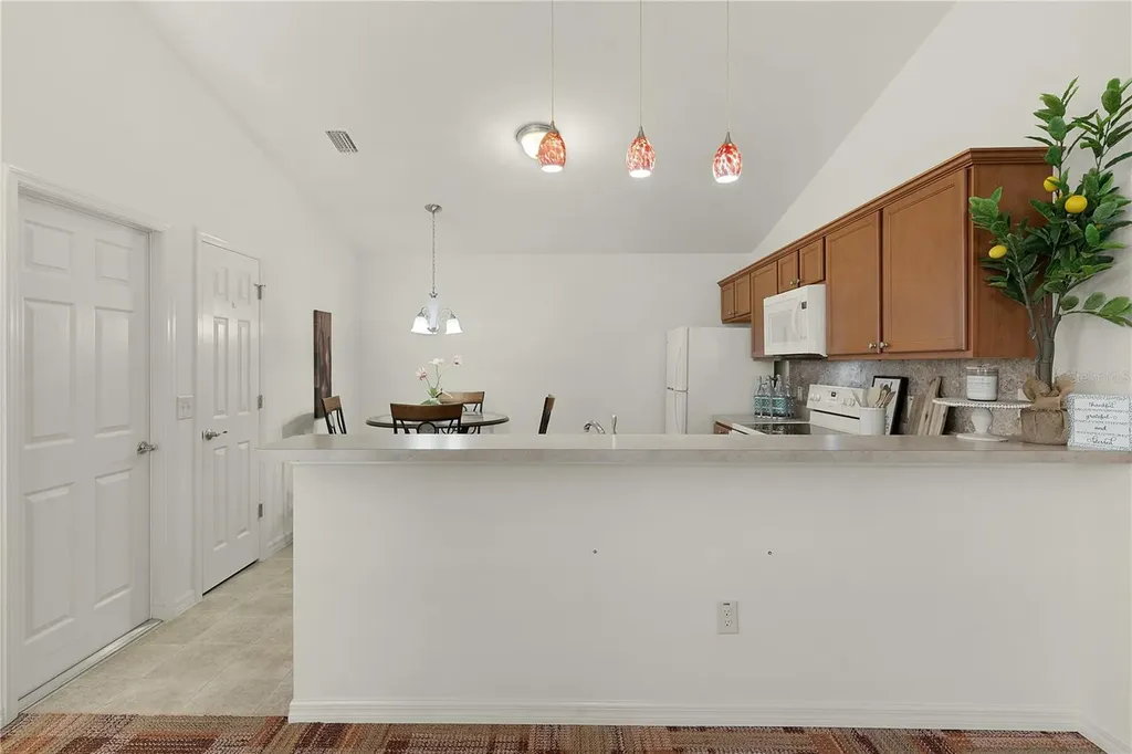1387 Zest Avenue The Villages FL 32163