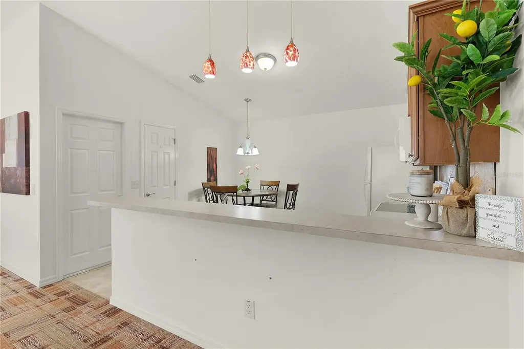 1387 Zest Avenue The Villages FL 32163